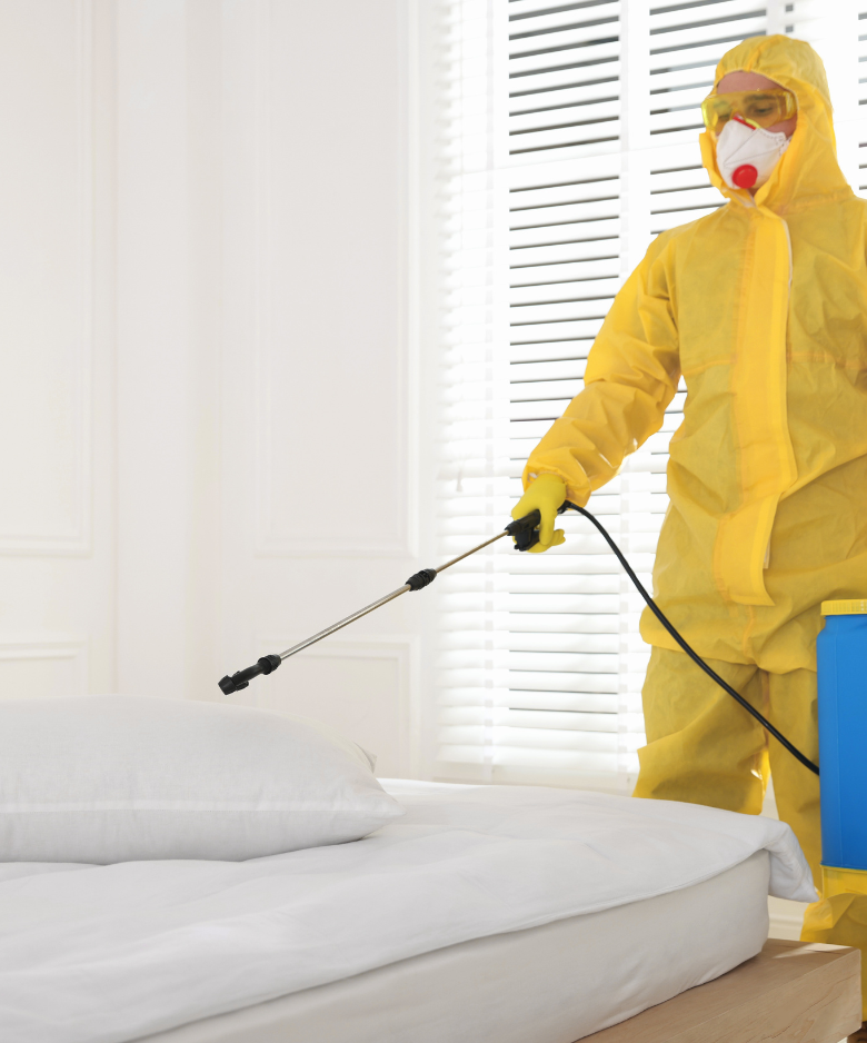 Professional Pest Control Team in Woodside
